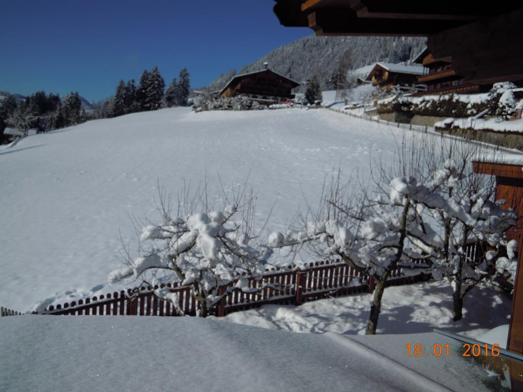 Jaegerhof Apartment Alpbach Cameră foto